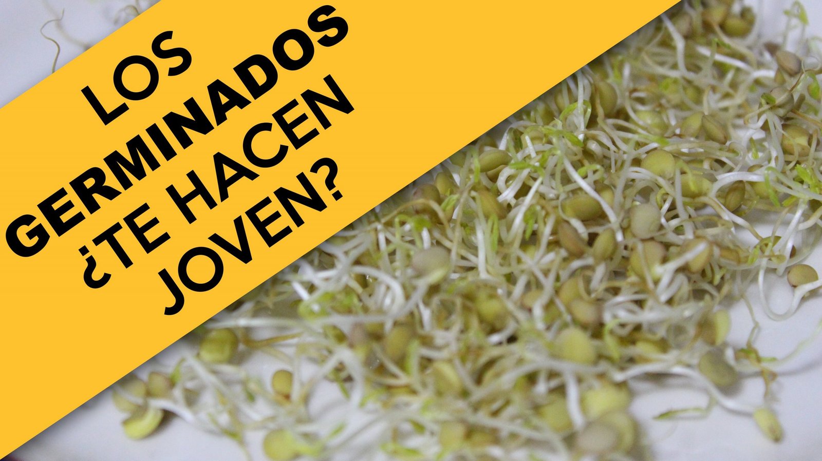 germinados